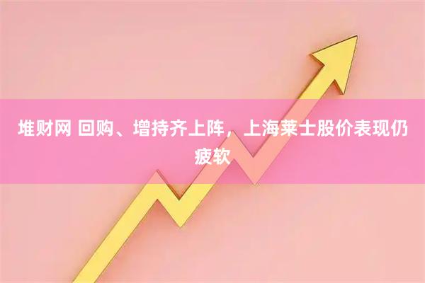 堆财网 回购、增持齐上阵，上海莱士股价表现仍疲软