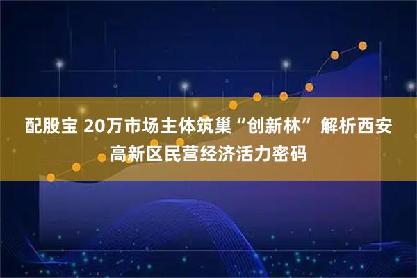 配股宝 20万市场主体筑巢“创新林” 解析西安高新区民营经济活力密码