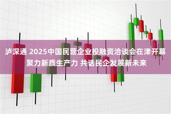 泸深通 2025中国民营企业投融资洽谈会在津开幕 聚力新质生产力 共话民企发展新未来