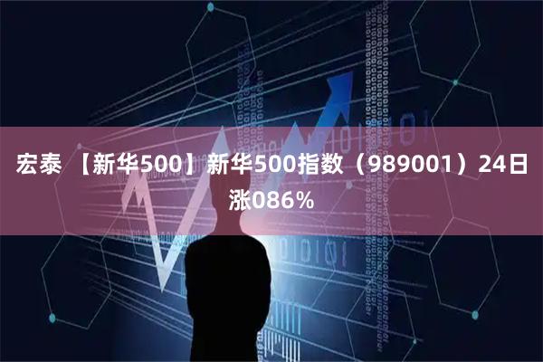 宏泰 【新华500】新华500指数（989001）24日涨086%